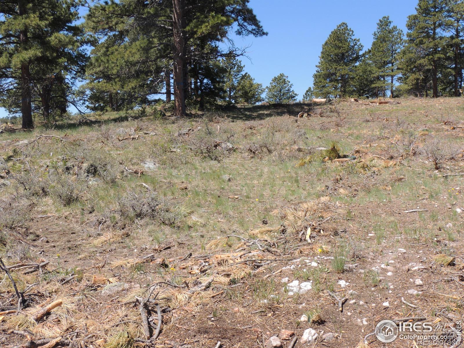 20920 W County Rd 80c Rd W, Livermore, CO 80536