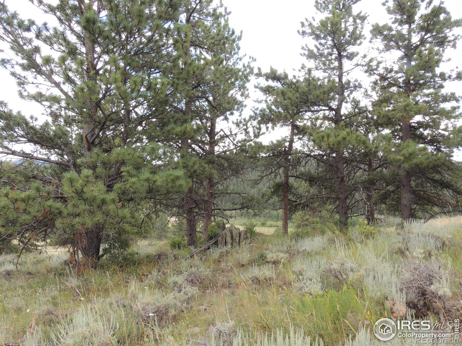 20920 W County Rd 80c Rd W, Livermore, CO 80536