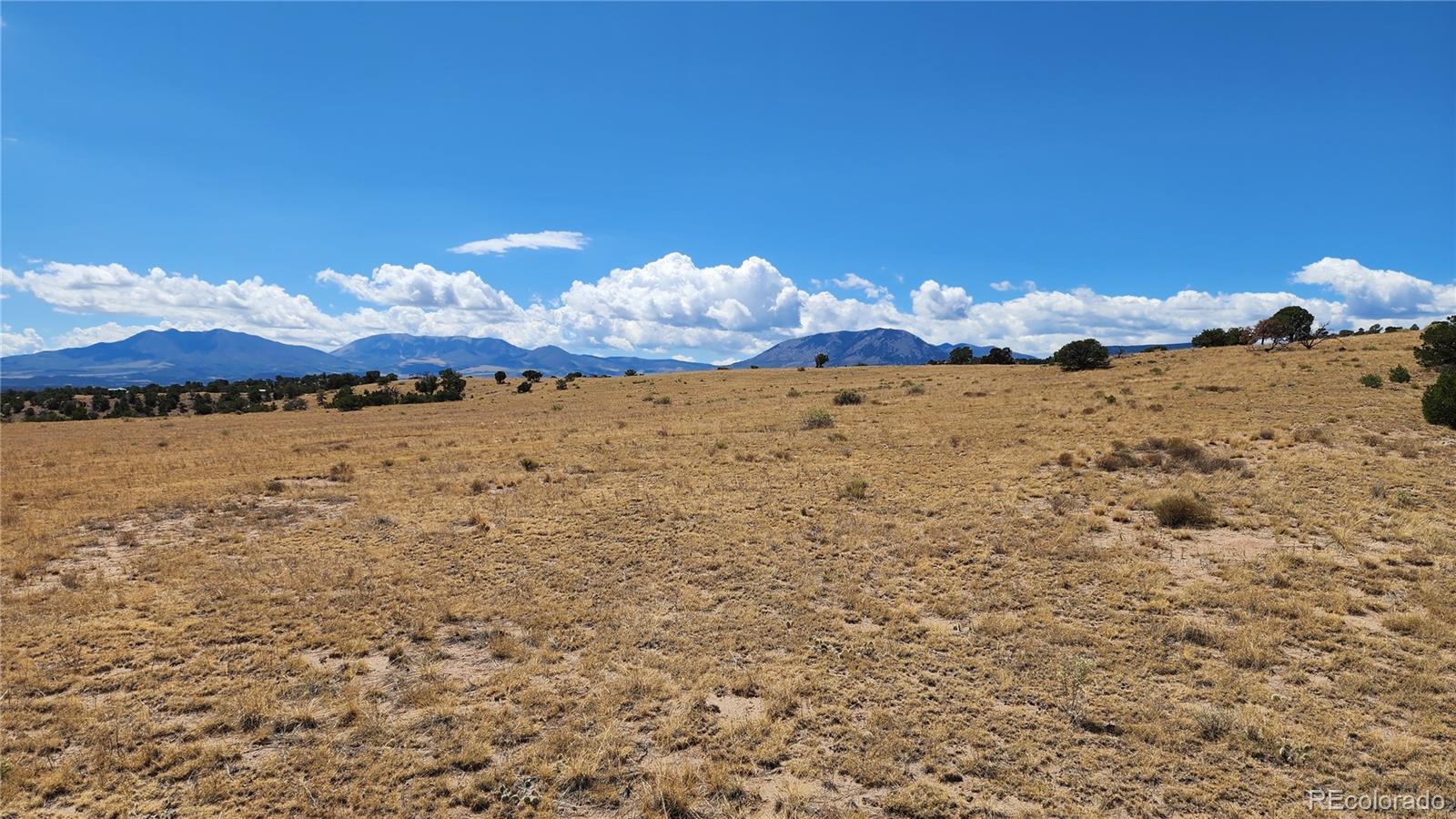 Lot 11 Turkey Creek Ranches, Gardner, CO 81040