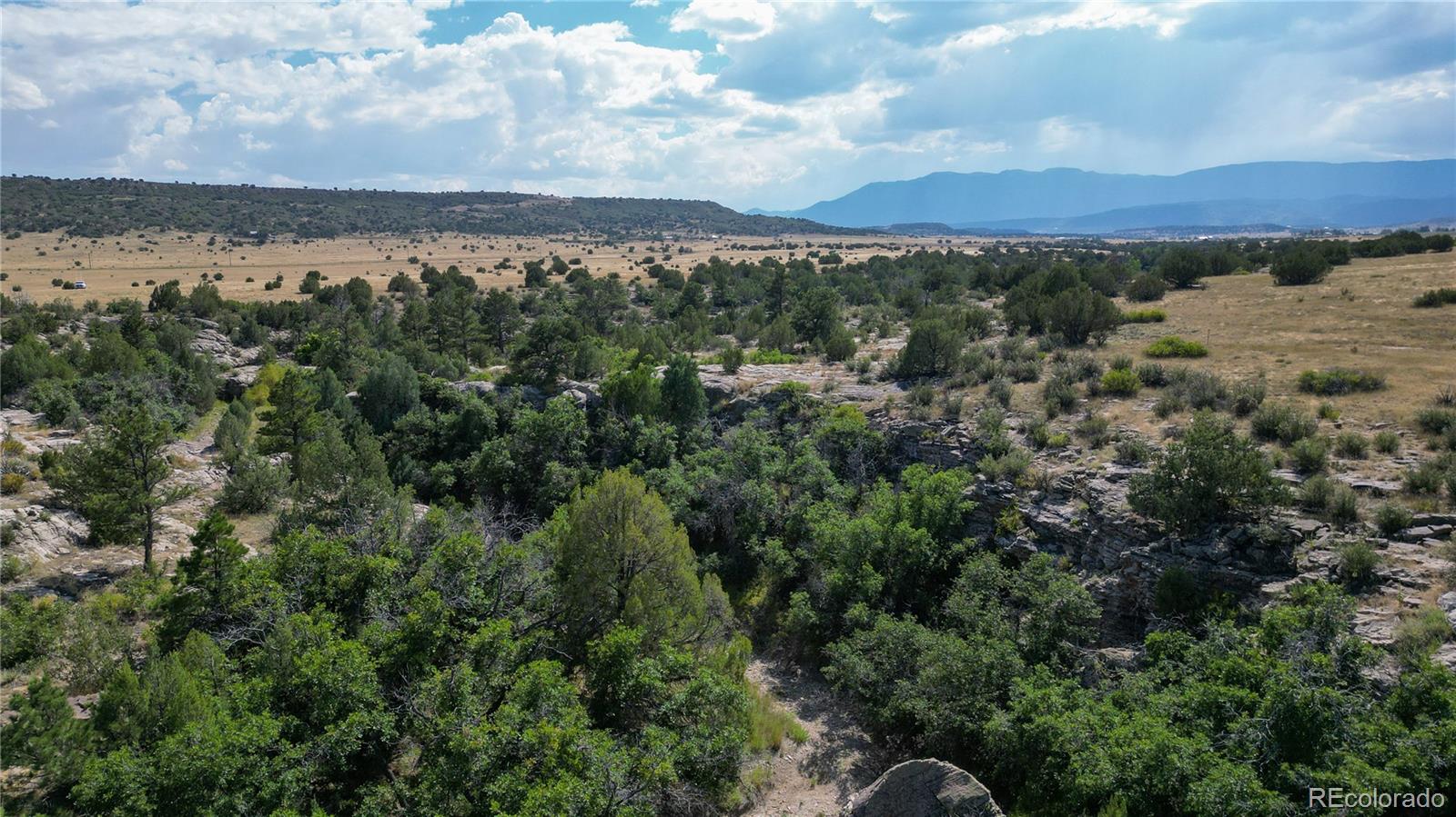 6909 Burnt Mill Rd, Beulah, CO 81023