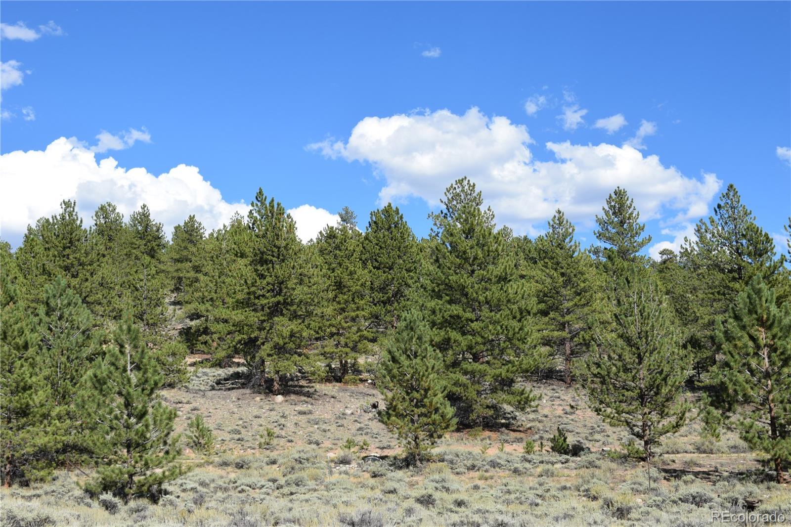 Ross Iii, Twin Lakes, CO 81251
