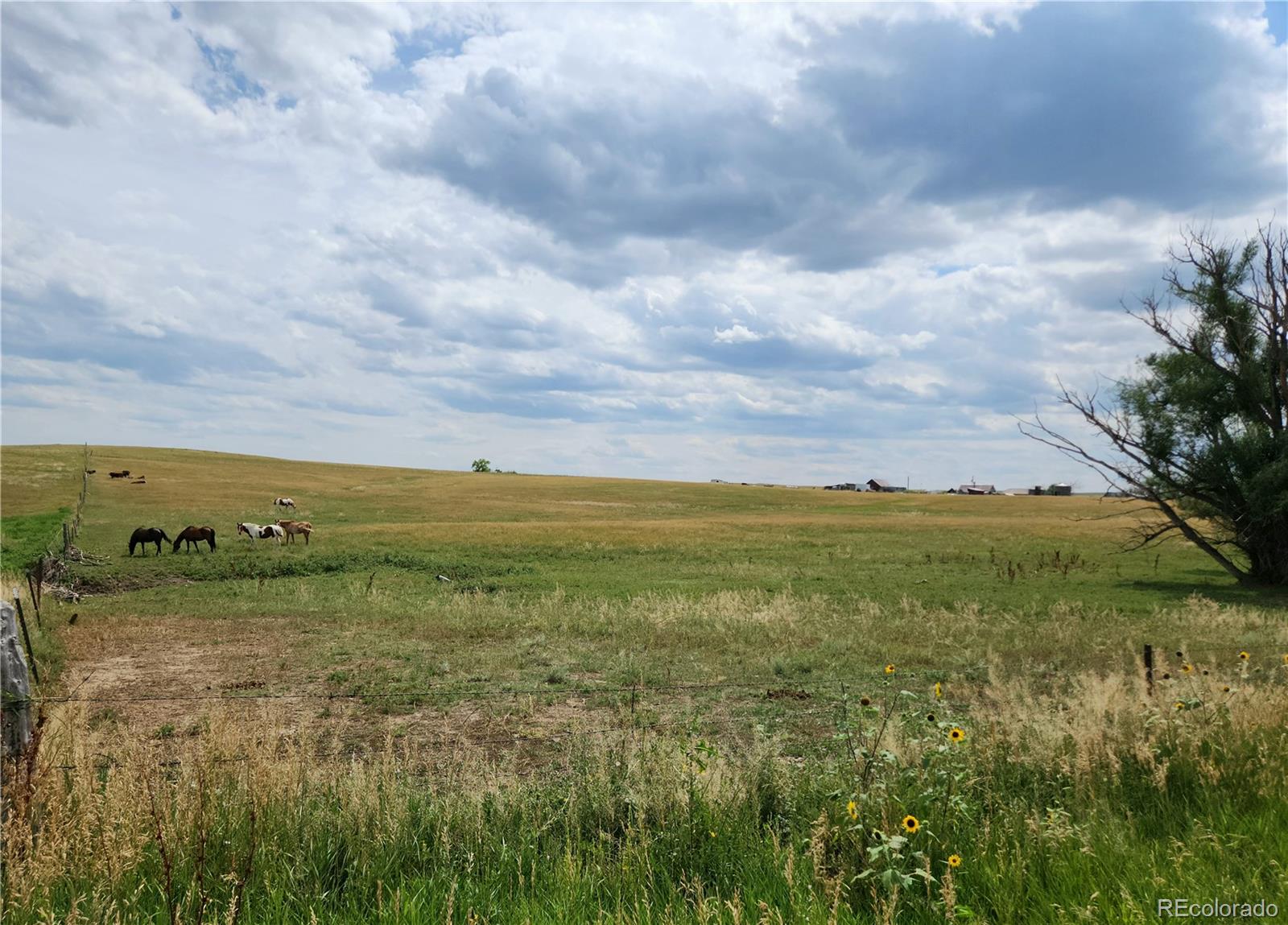 31875 W Ramah Rd, Ramah, CO 80832