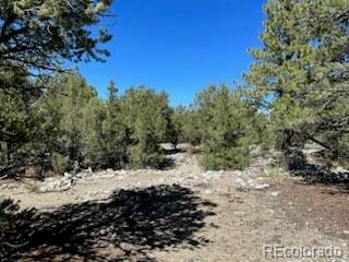 15 Mill Run Rd Lot 2 & 3, Mosca, CO 81146