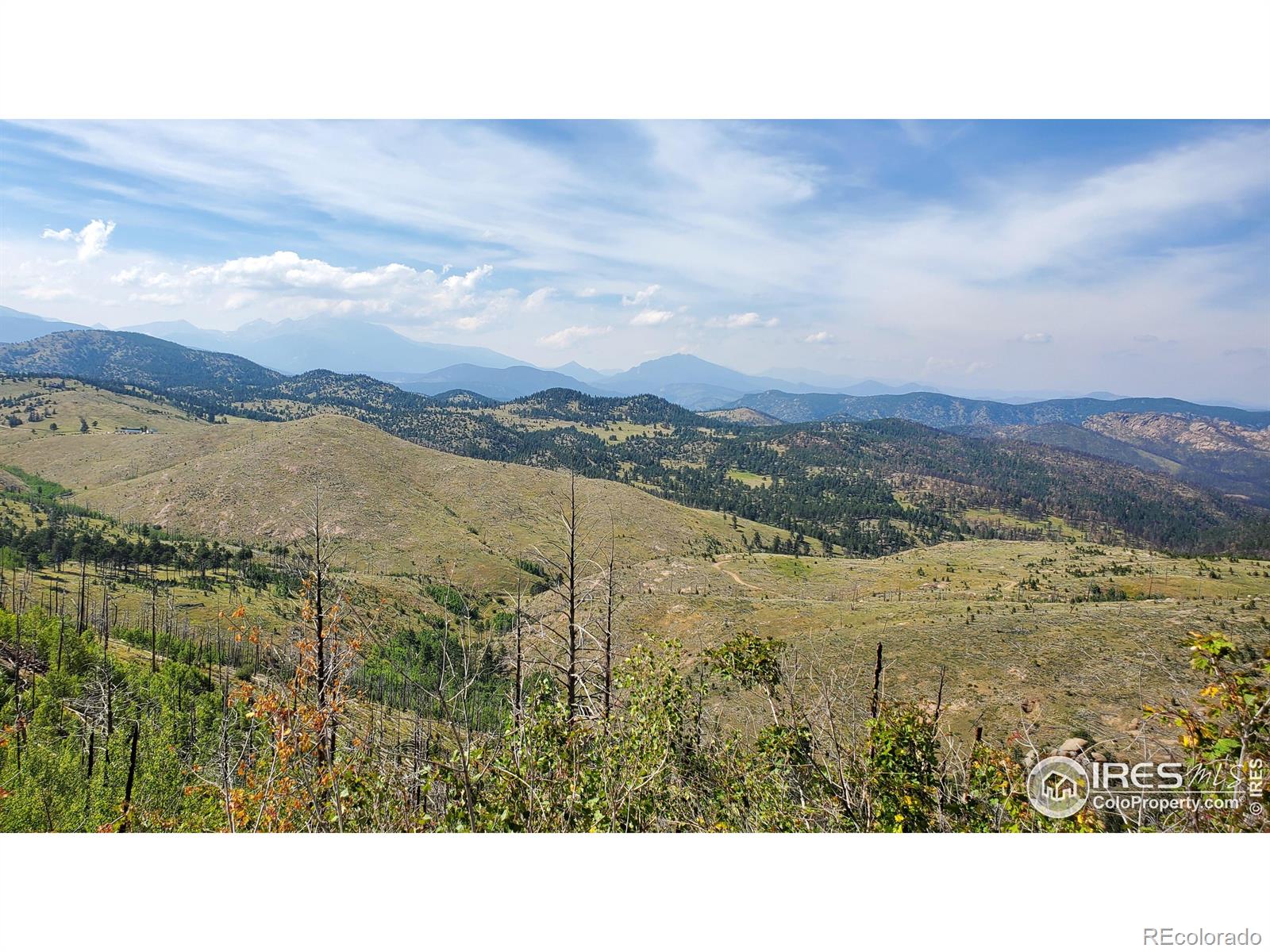 1820 County Road 87j Rd, Jamestown, CO 80455