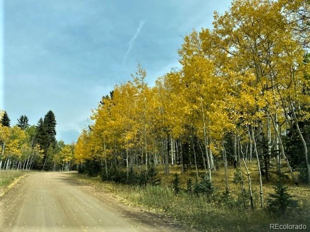 159 Aspen Way, Divide, CO 80814