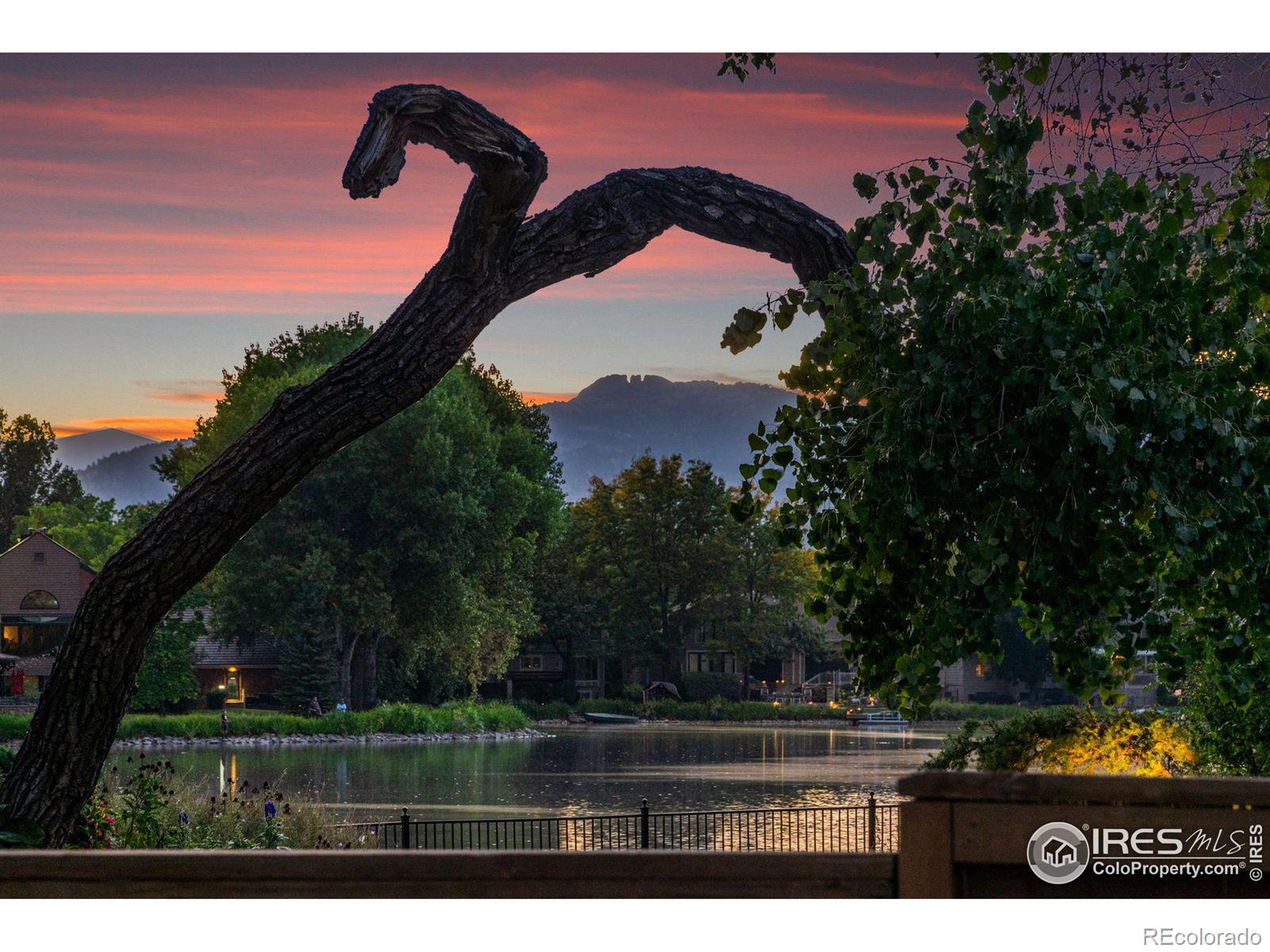 907 Shore Pine Ct, Fort Collins, CO 80525