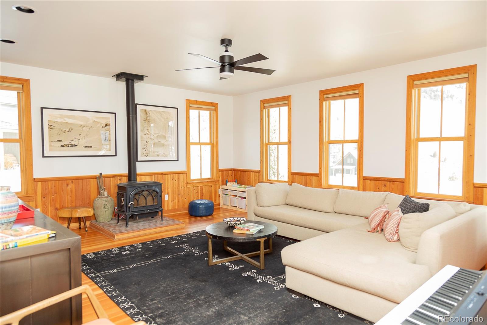 229 Bee Mcclure Dr, Creede, CO 81130