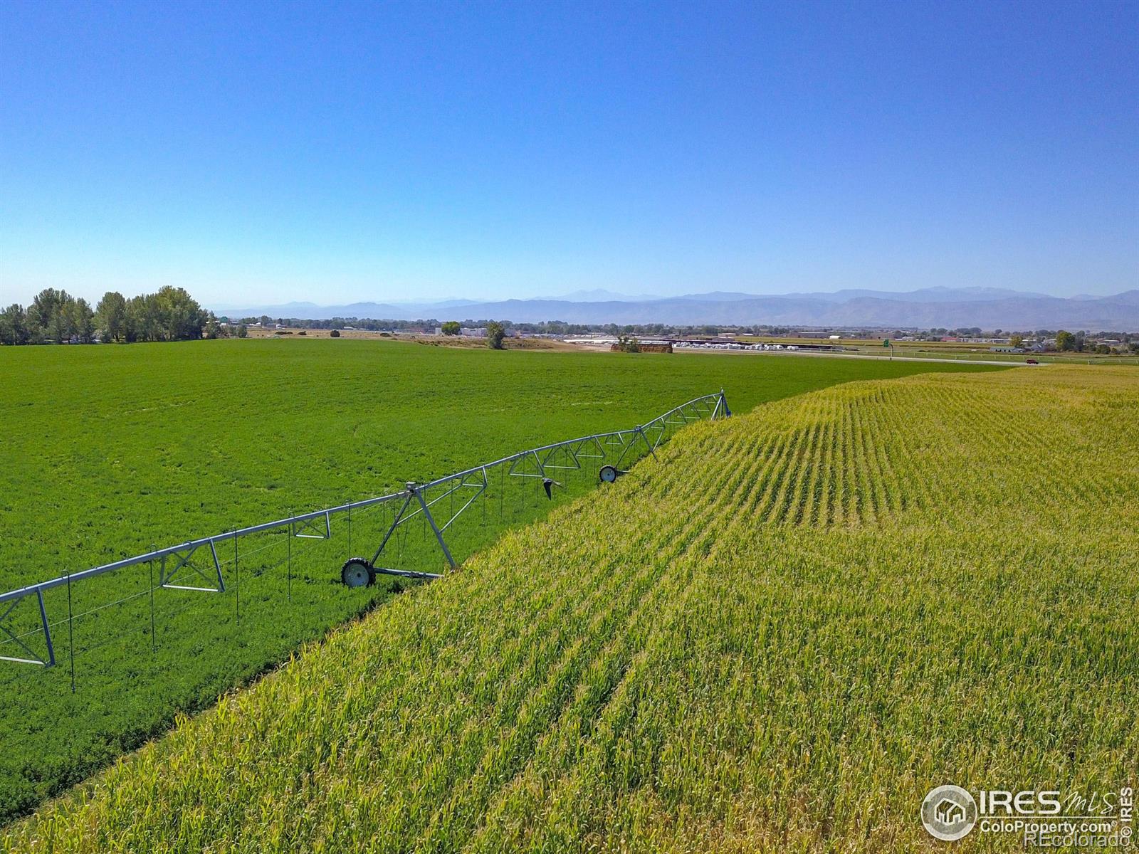 4811 E County Road 66, Wellington, CO 80549