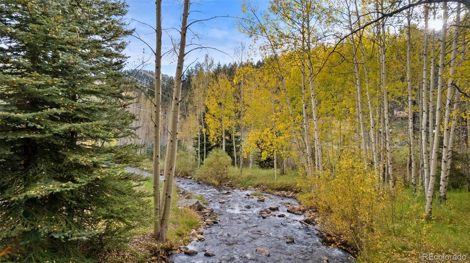 14482 S Elk Creek Rd, Pine, CO 80470