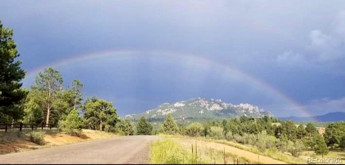 20173 Spring Creek Trl, Buffalo Creek, CO 80425