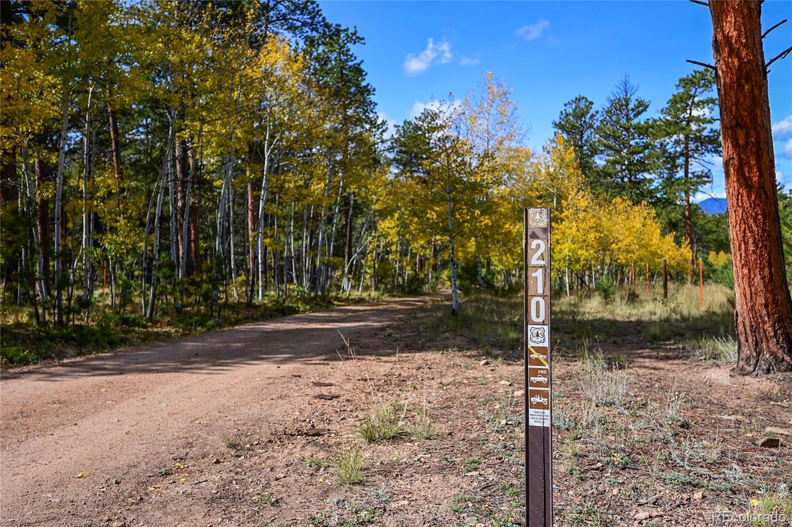 Tbd, Lake George, CO 80827