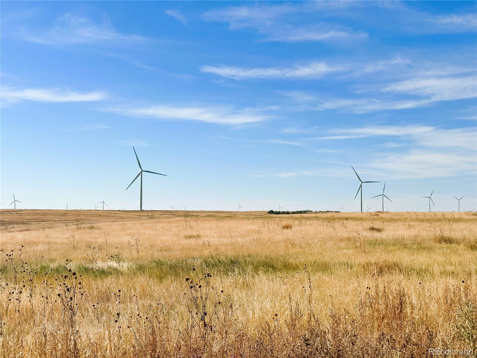 562 57 Acres Lincoln County, Genoa, CO 80818