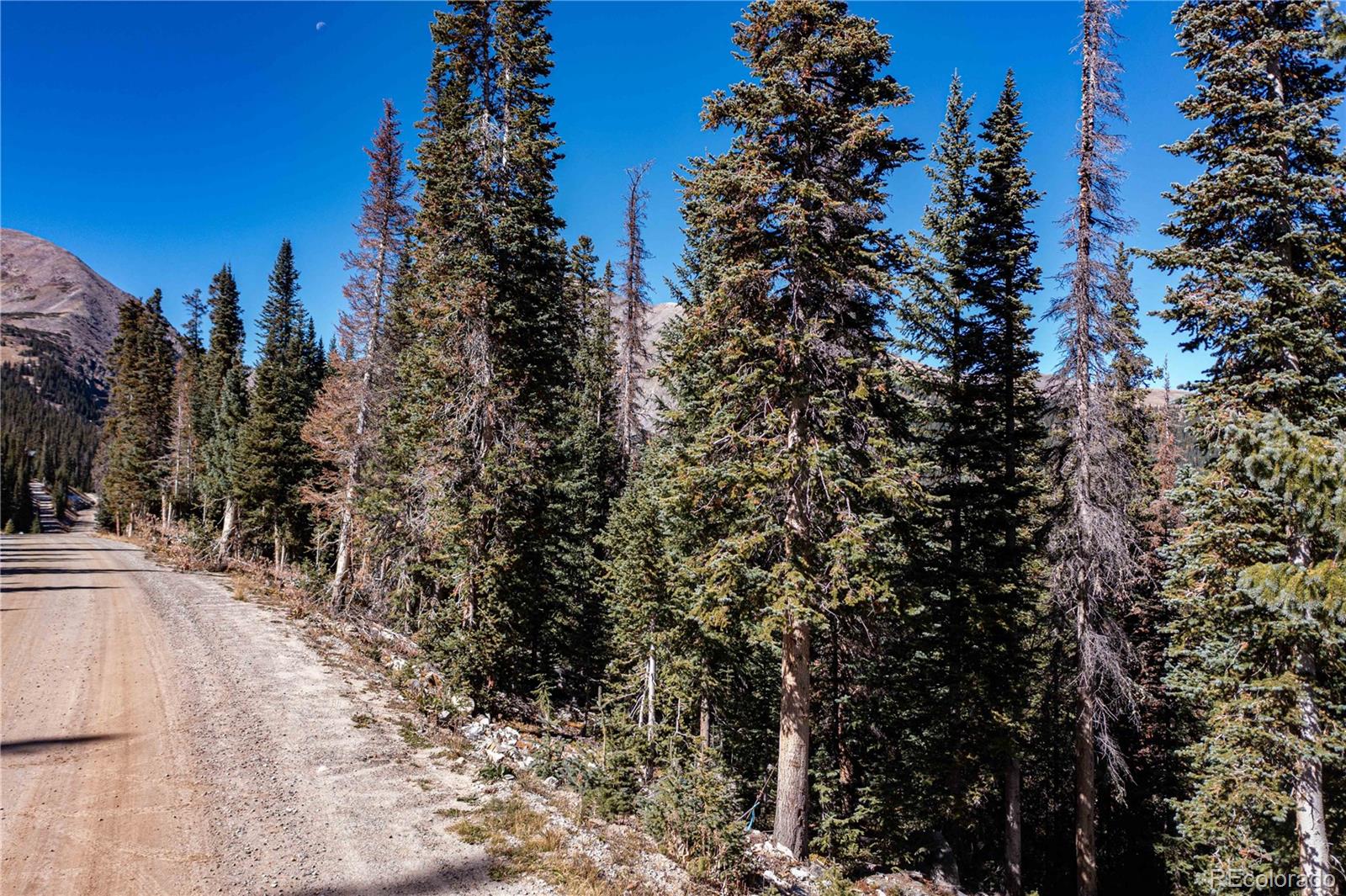 160 Quandary Rd, Breckenridge, CO 80424