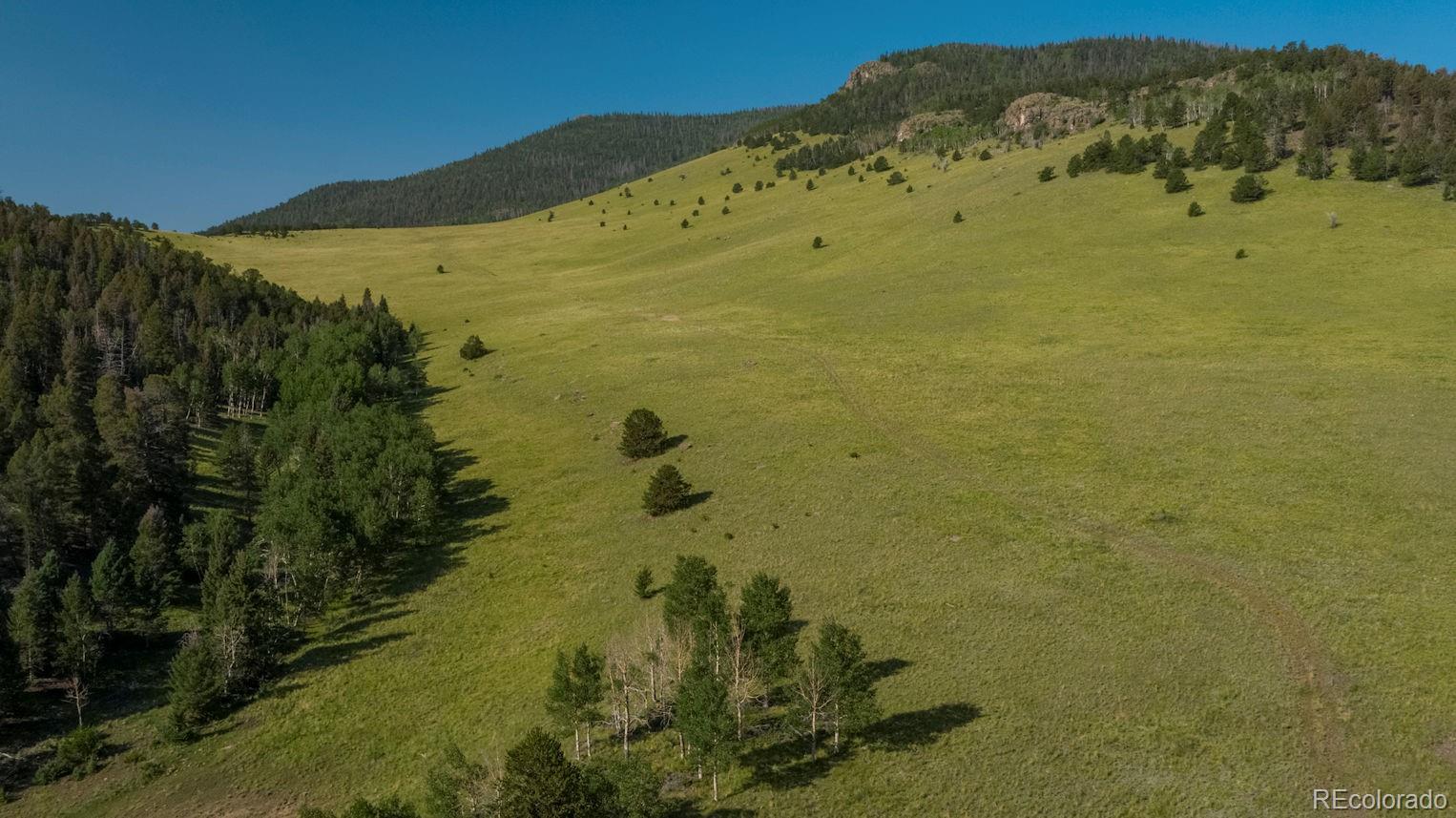 000 County Road 100, Guffey, CO 80820