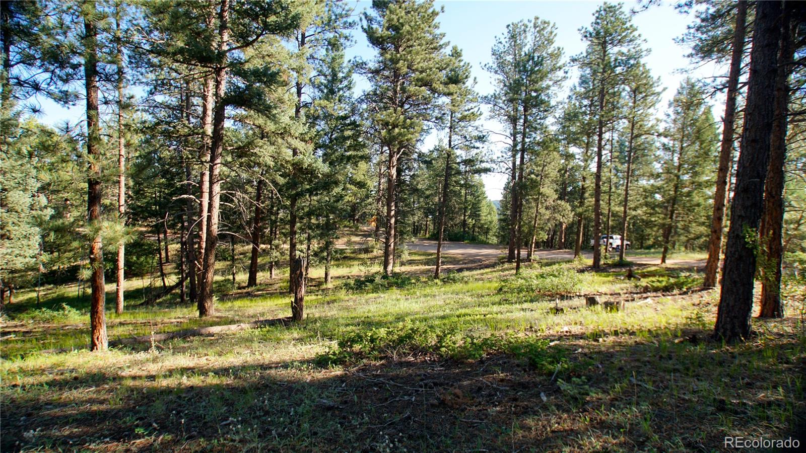 104 N County Highway 67, Sedalia, CO 80135