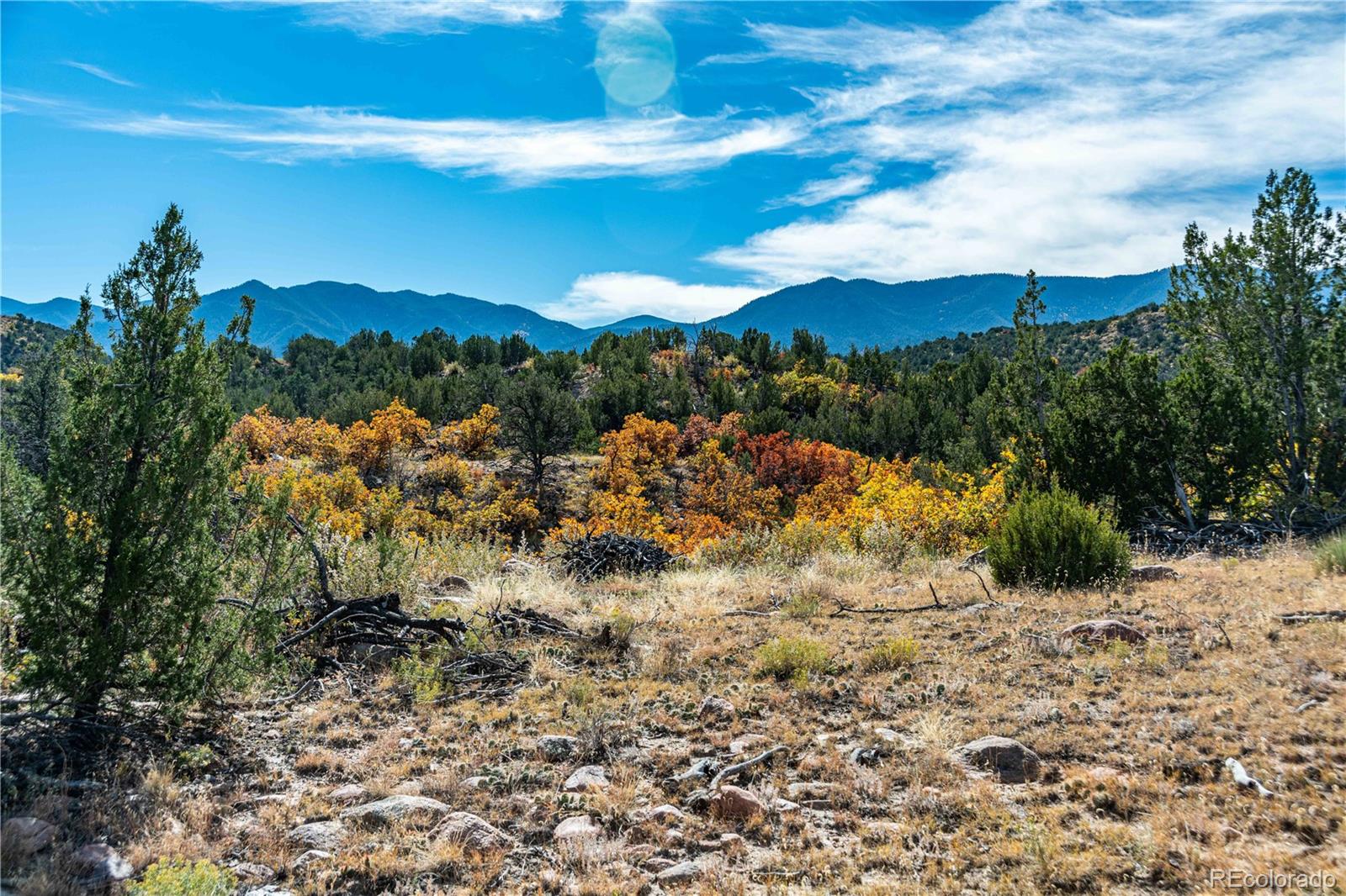 Lot 40 Locke Mountain Rd Lot 40, Florence, CO 81226