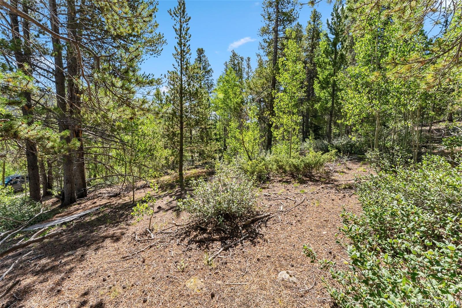 135 Spruce St, Alma, CO 80420