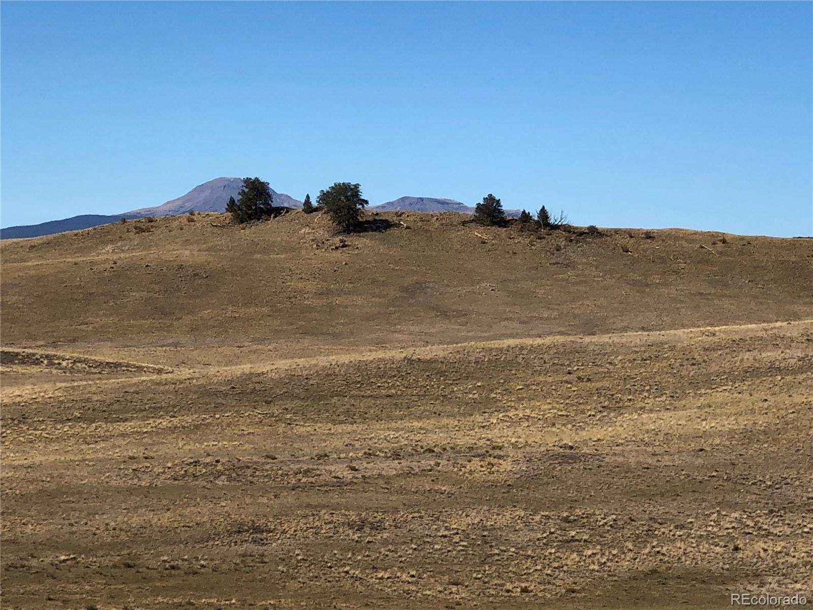 3036 Jumano Trl, Hartsel, CO 80449
