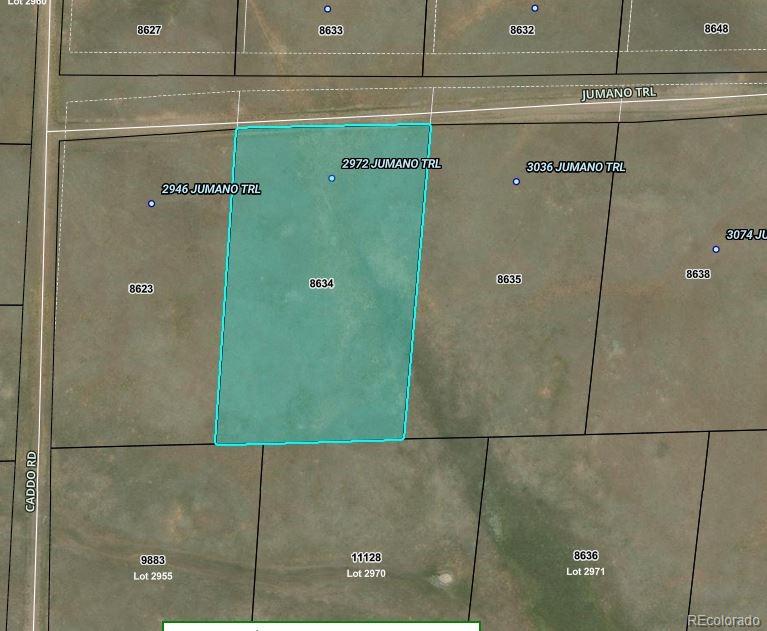 2972 Jumano Trl, Hartsel, CO 80449