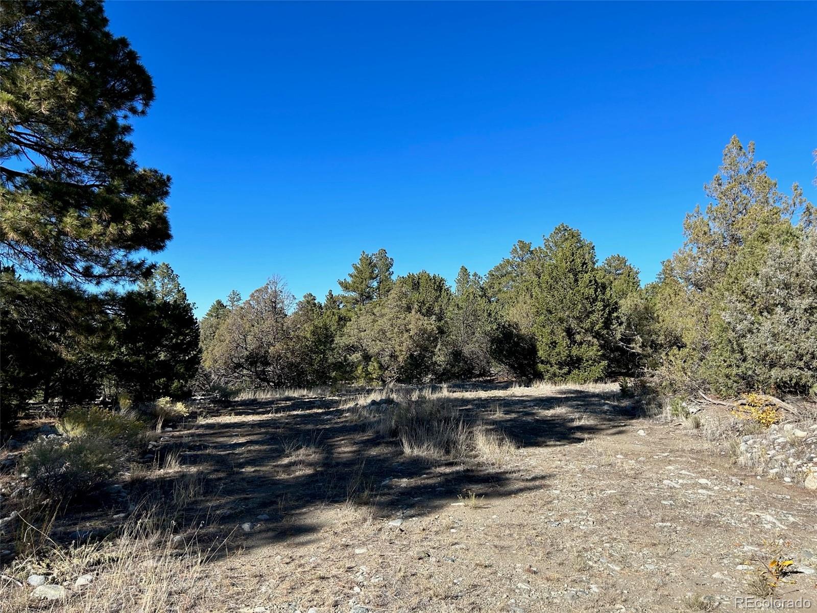 25 Pioneer Rd, Mosca, CO 81144