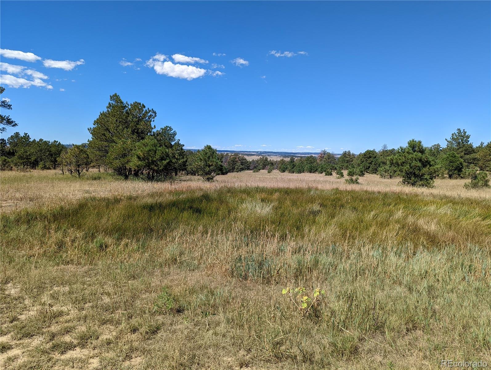 00 County Road 89 Lot 2, Ramah, CO 80832