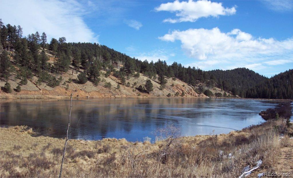 98 Wilkins Rd, Bailey, CO 80421