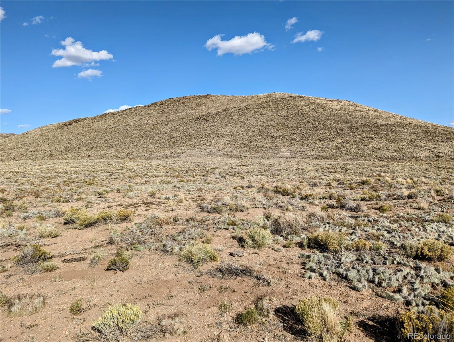 14.87 Acres Seneca Ave, Blanca, CO 81133
