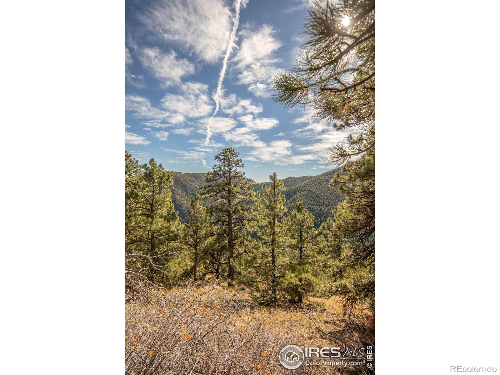 745 Nugget Hill Rd, Jamestown, CO 80455