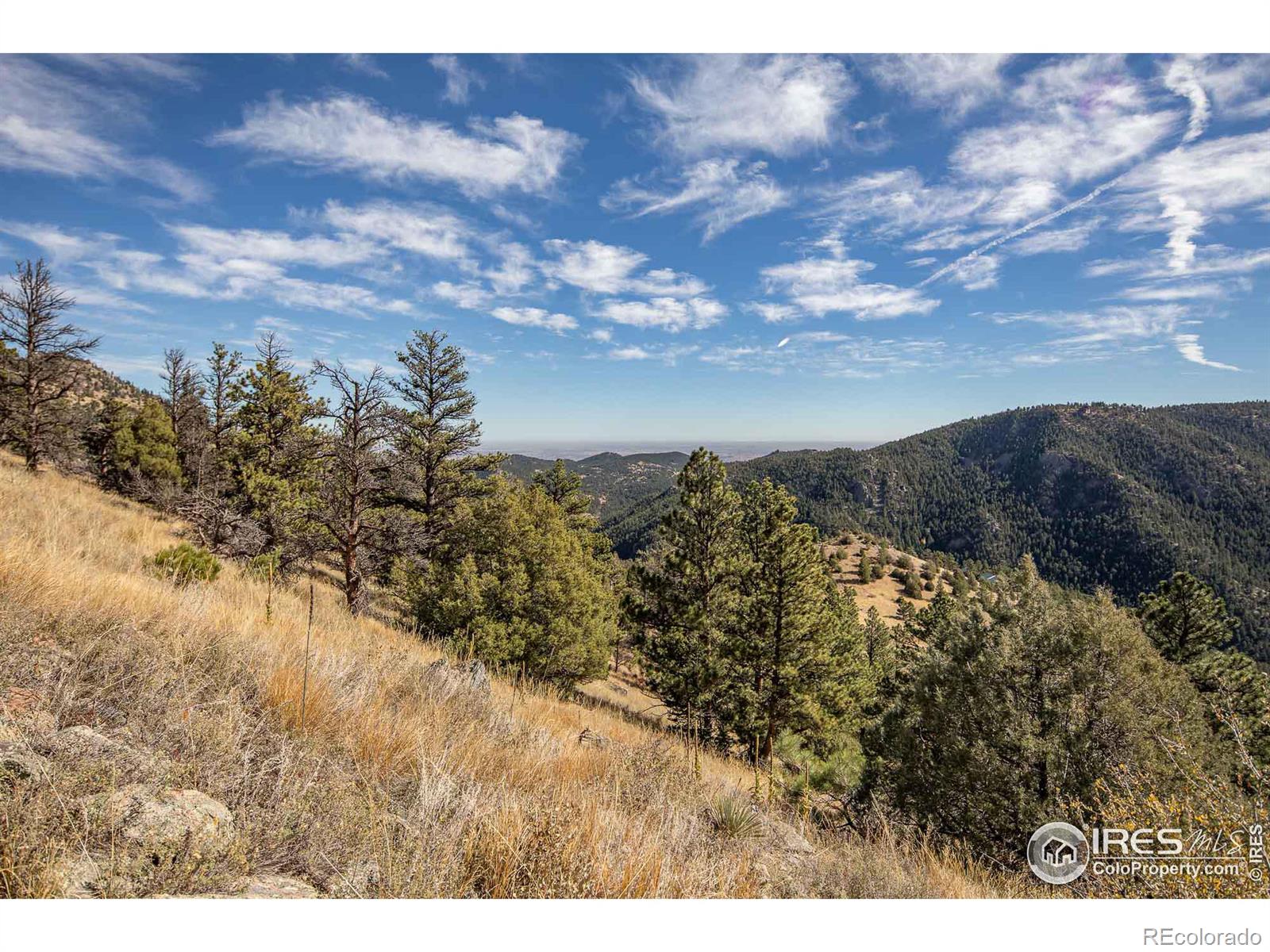 745 Nugget Hill Rd, Jamestown, CO 80455