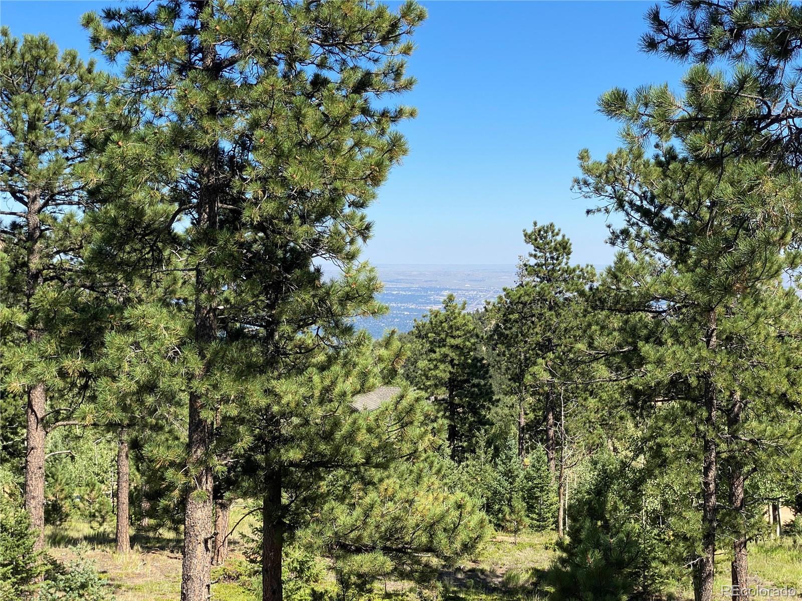 156 Big Bear, Manitou Springs, CO 80829