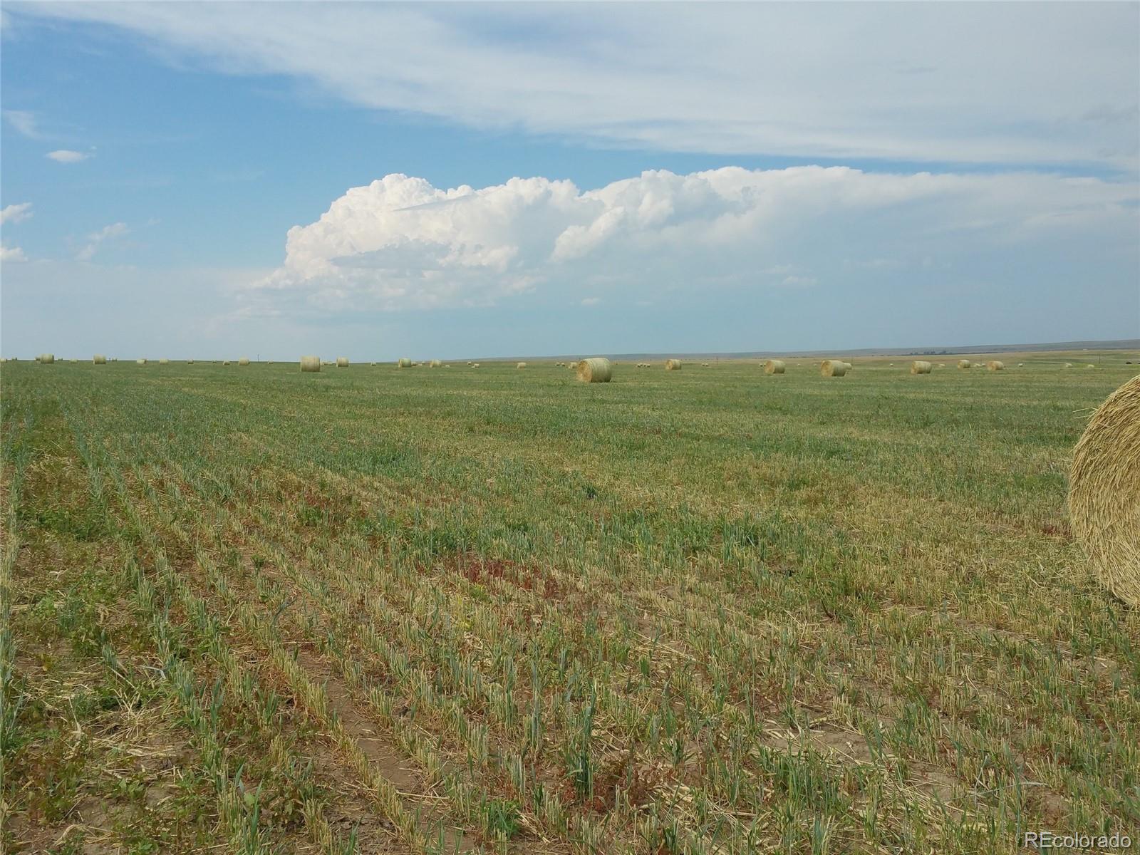 Cr, Agate, CO 80101
