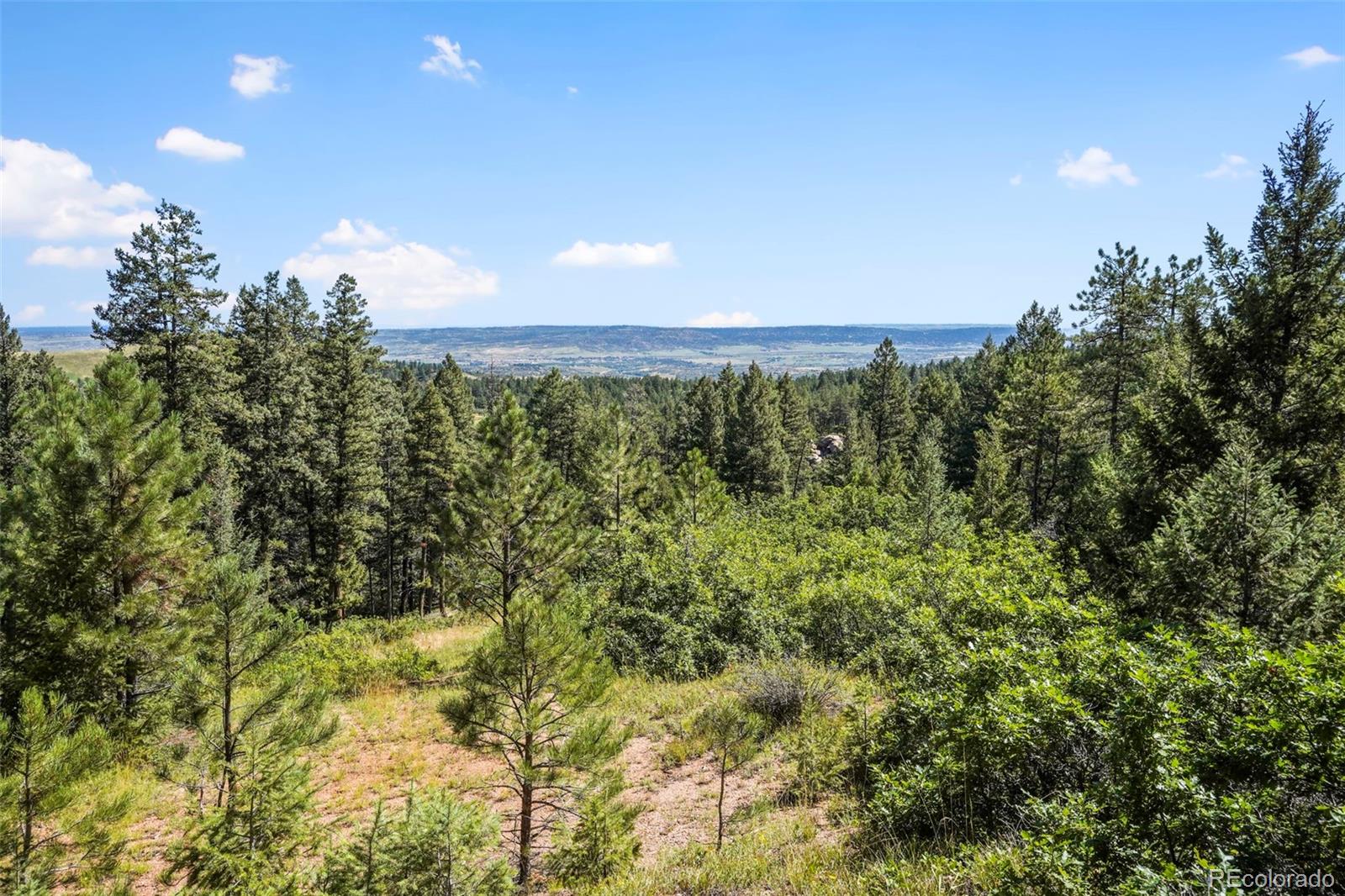 Madge Gulch Rd, Sedalia, CO 80135
