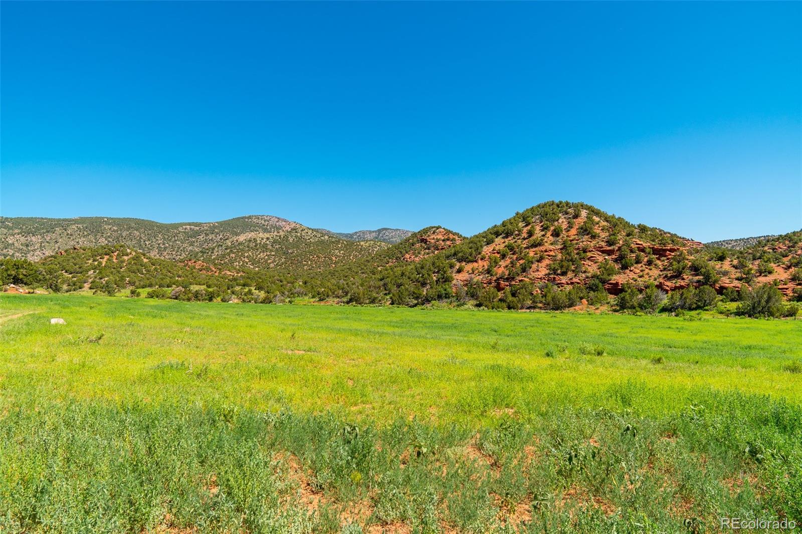 Unknown Rice Mountain Way, Canon City, CO 81215
