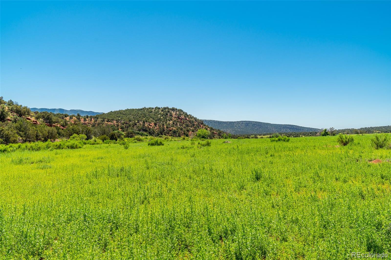 Unknown Rice Mountain Way, Canon City, CO 81215