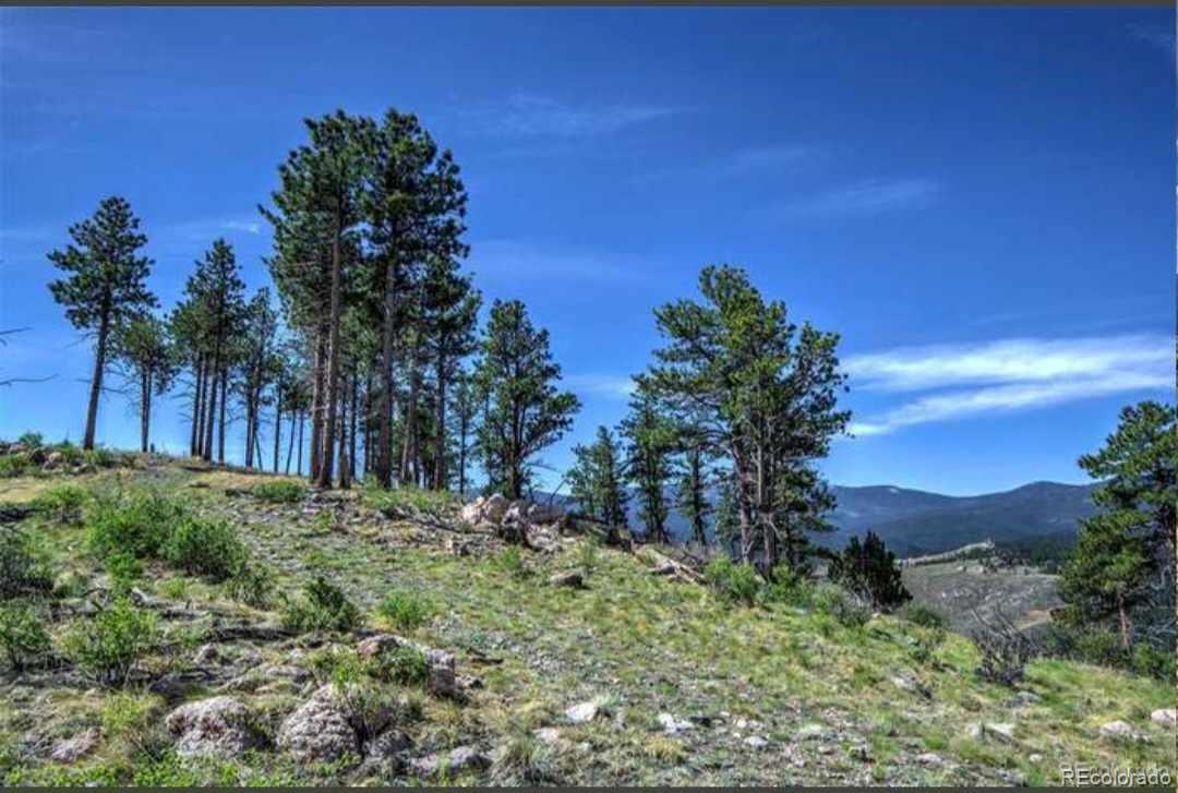 33817 Mineral Ln, Pine, CO 80470