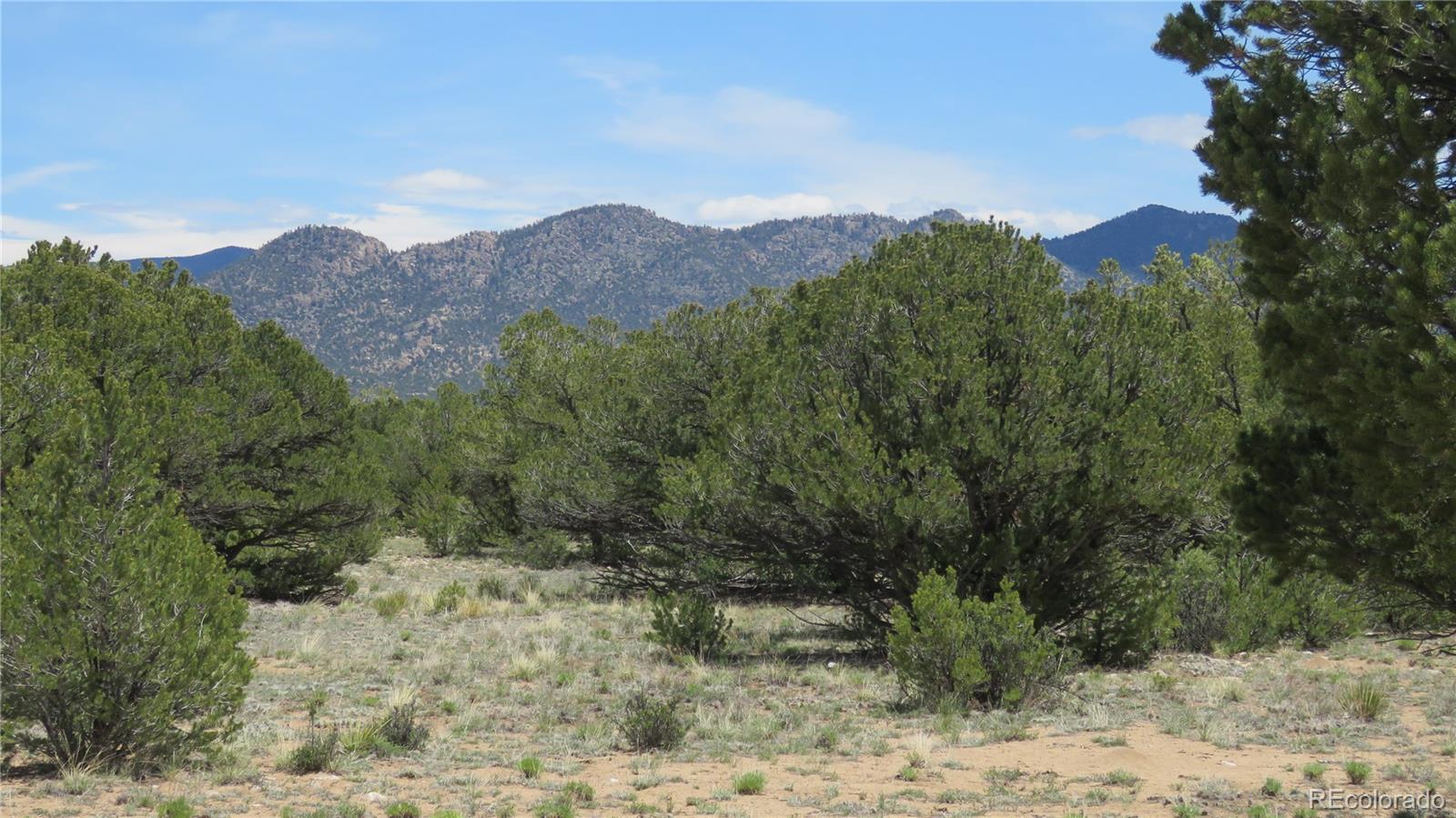 28924 Timber Rg Lot 10, Buena Vista, CO 81211