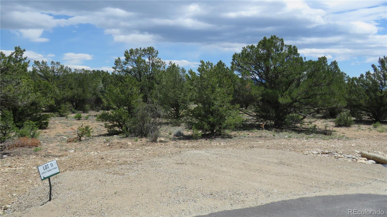 28922 Timber Rg Lot 11, Buena Vista, CO 81211