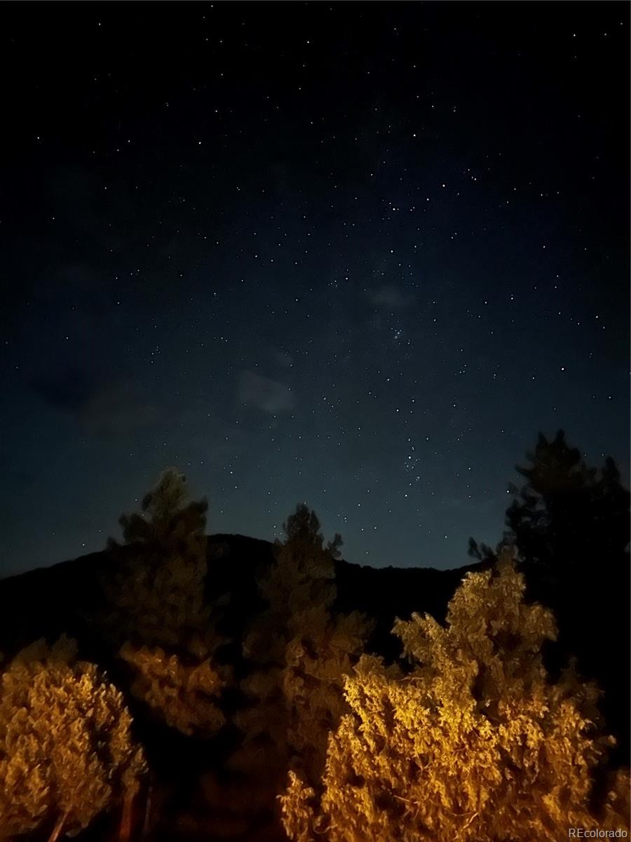 10 Knight Ln, Cotopaxi, CO 81223