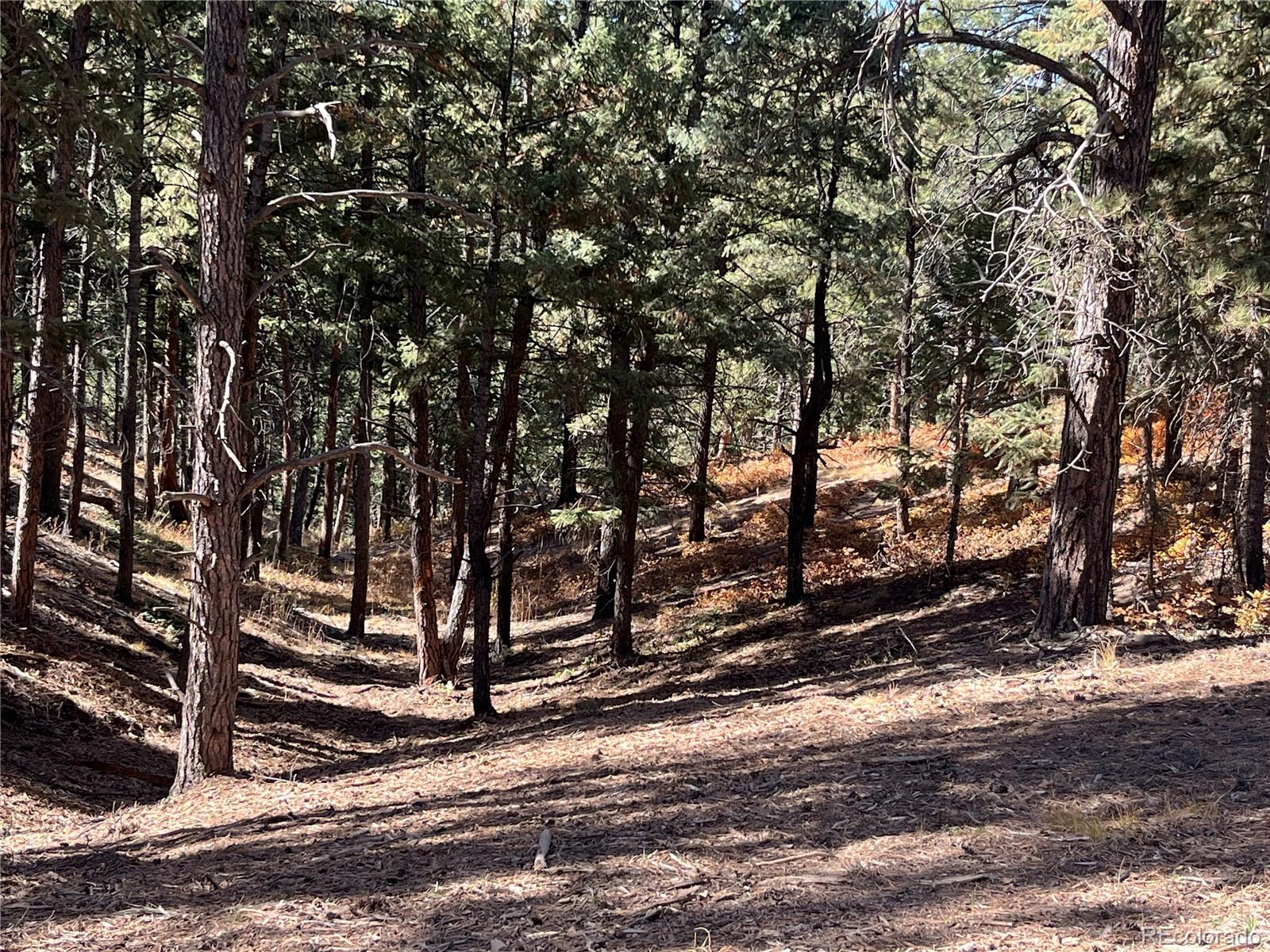 3725 Hidden Valley Rd, Sedalia, CO 80135