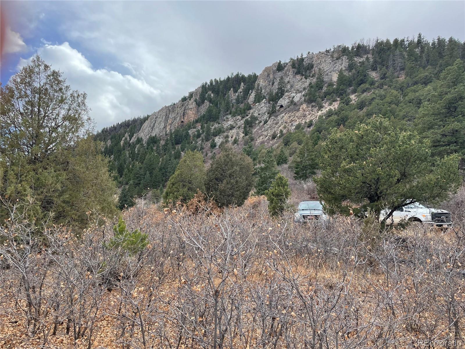 3453 Knotty Pine Rd, Howard, CO 81233
