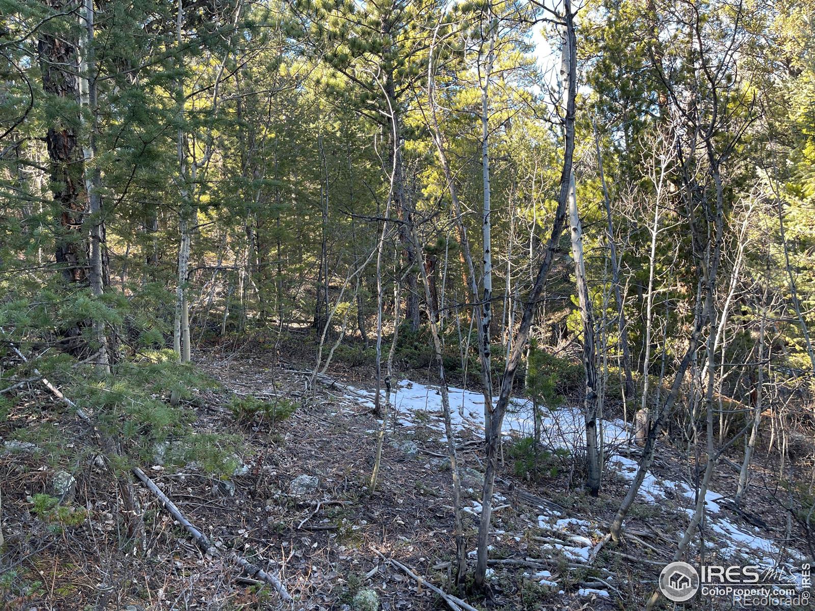 0 Hummer Dr, Nederland, CO 80466