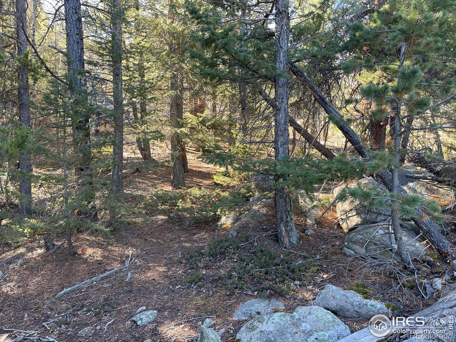 0 Hummer Dr, Nederland, CO 80466