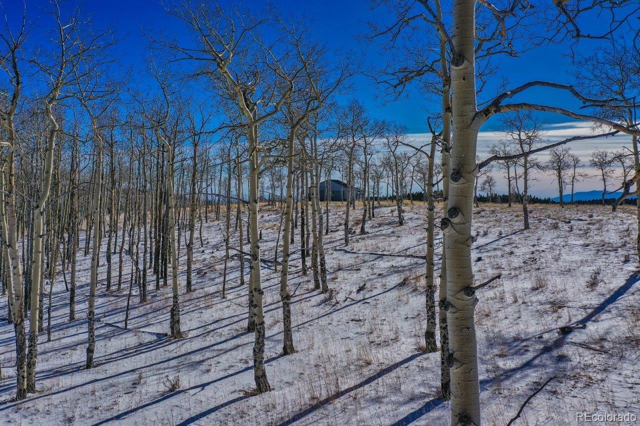 938 County Road 863, Victor, CO 80860
