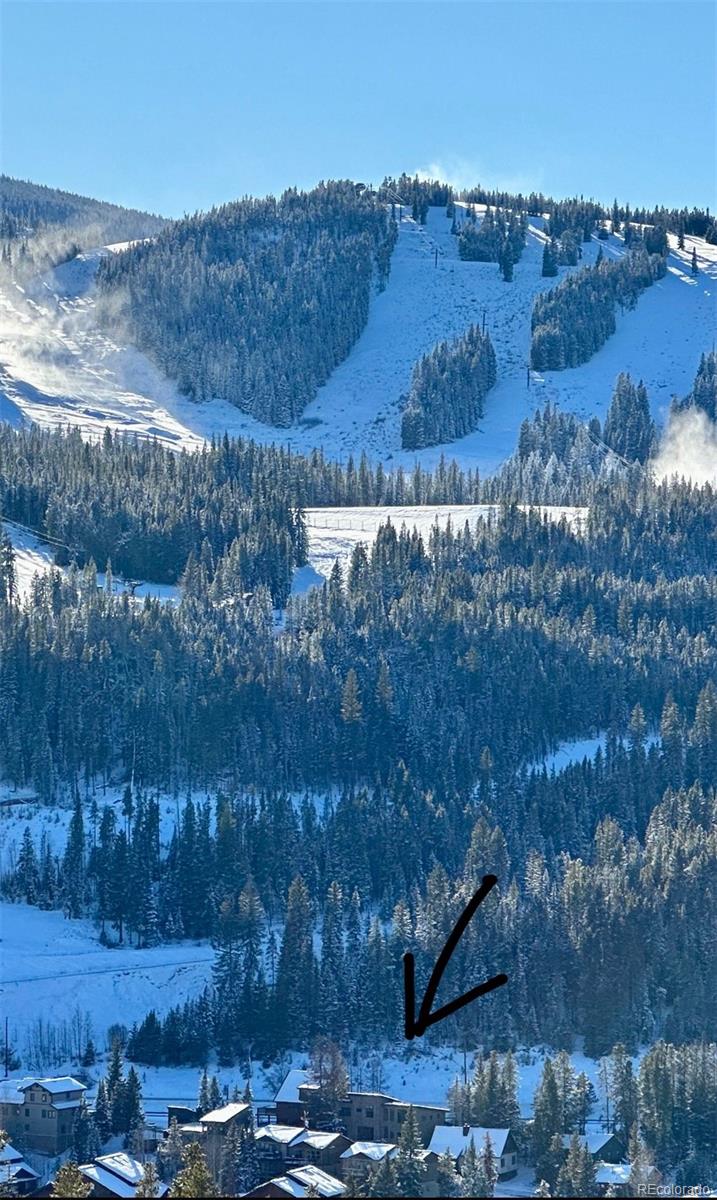 145 Fir Dr, Winter Park, CO 80482