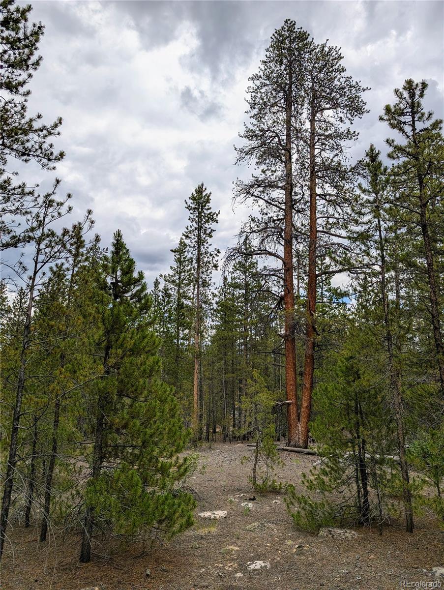 437 Juniper Dr, Twin Lakes, CO 81251
