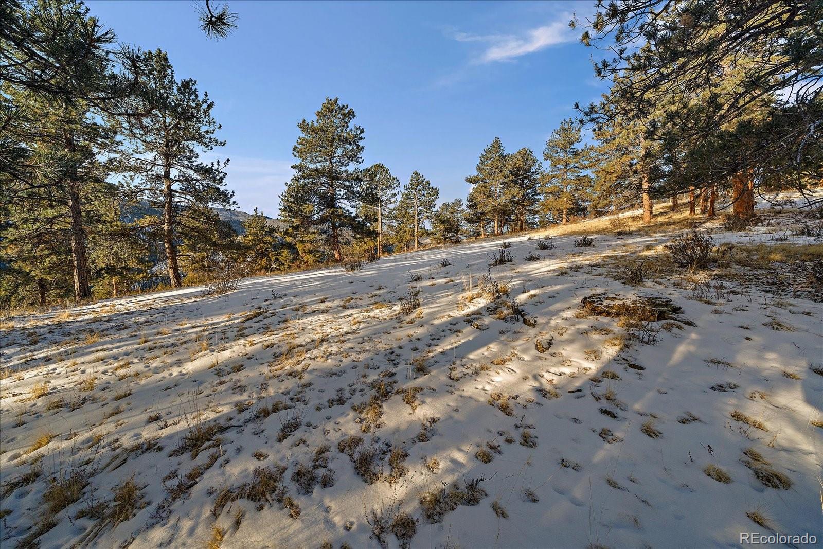 433 W Cline Dr, Shawnee, CO 80475