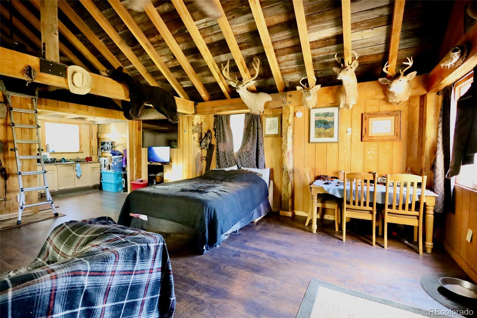 6981 County Road 8, Cripple Creek, CO 80813
