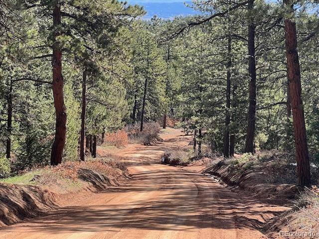 000 Madge Gulch Rd Lot 2503-071-00-008, Sedalia, CO 80135
