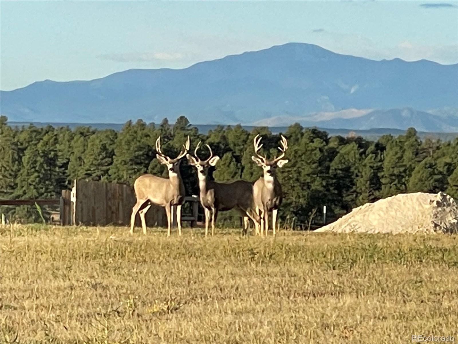 28451 County Road 49, Kiowa, CO 80117