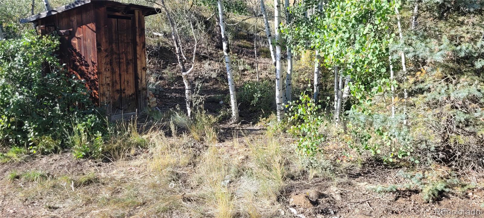 82 W Shawnee Rd, Shawnee, CO 80475
